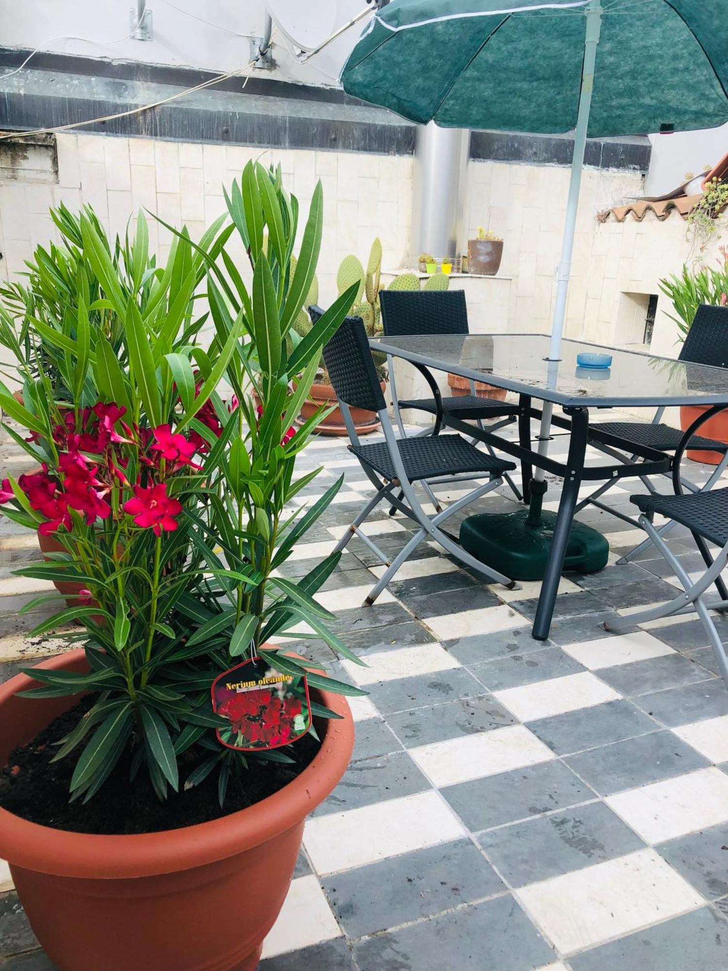 Ferienwohnung La Terrazza Di Aida Verona Exterior foto